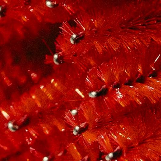 Brow and Lash combo x3 Package 